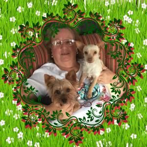 Meet your Posher, Barbara ann